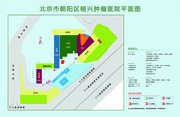 黄色操逼网站免费hhh北京市朝阳区桓兴肿瘤医院平面图